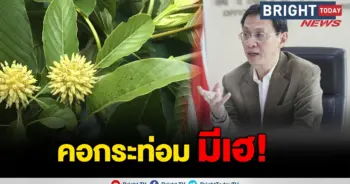 กระท่อม