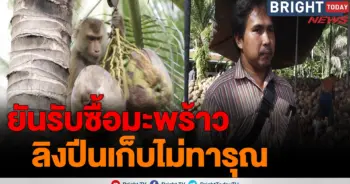 มะพร้าว