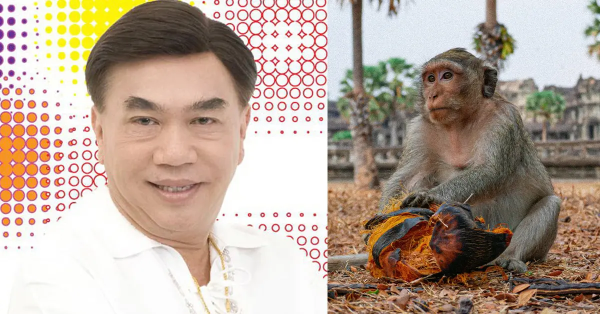ลิงเก็บมะพร้าว