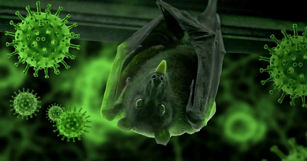 ไวรัสโคโรนา