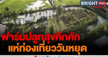 ฟาร์มปลูกสุข