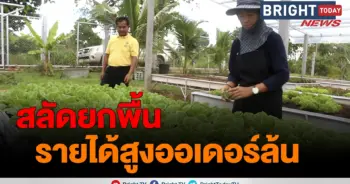 สวนผัก