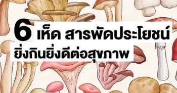 เห็ด
