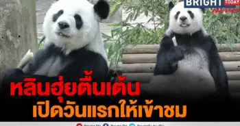 หลินฮุ่ย
