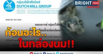 ดัชมิลล์