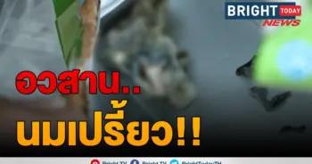 นมเปรี้ยว