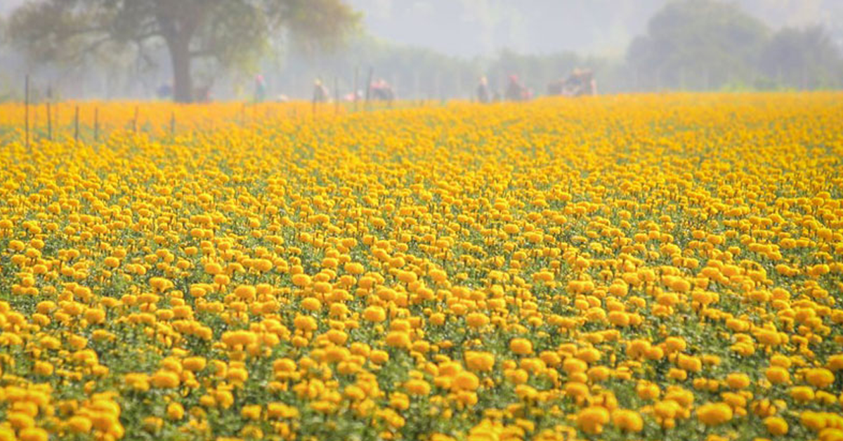 sukhothai-travel-tourist-attraction