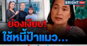 ป้าแมว