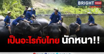 ช้าง