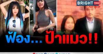 ป้าแมว
