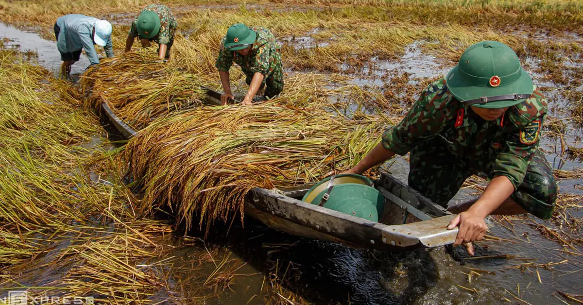 ค่าเงินบาท