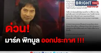 มาร์คพิทบูล