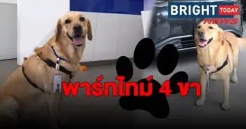 หมา