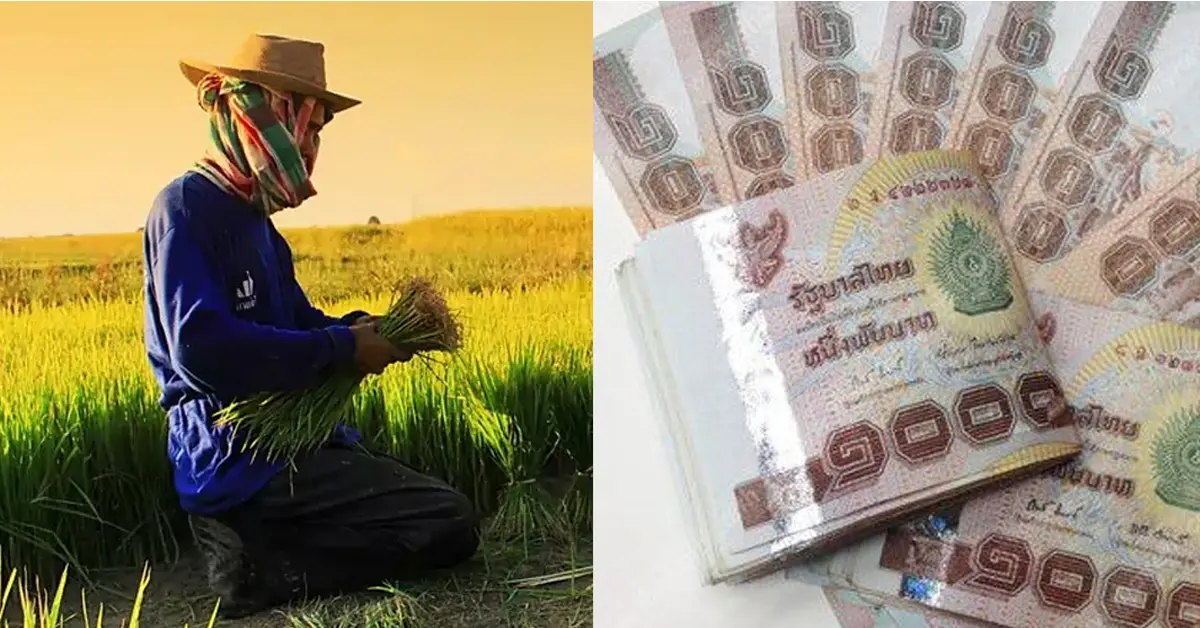 เยียวยาเกษตรกร