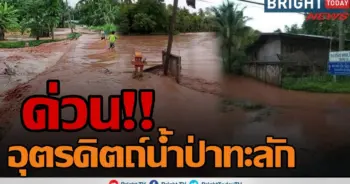 น้ำท่วม