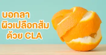 เซลลูไลท์