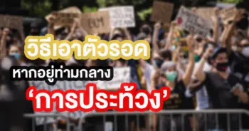 การประท้วง