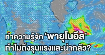 พายุโนอึล รู้จัก