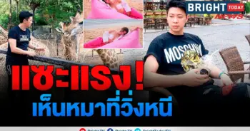 ดร.นัท