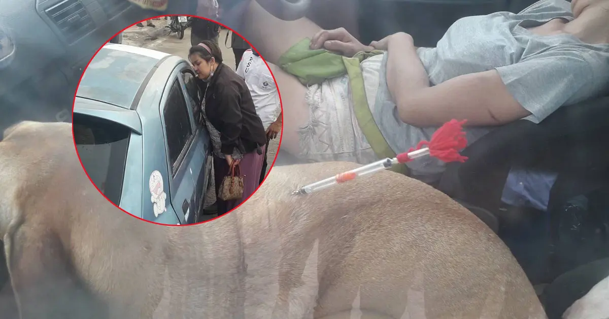 จับ เจ๊หงษ์ หมาพิทบูล