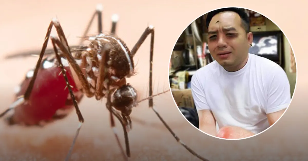 ชิคุนกุนยา