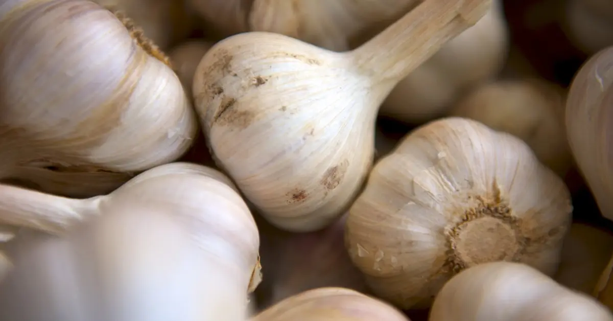 กระเทียม