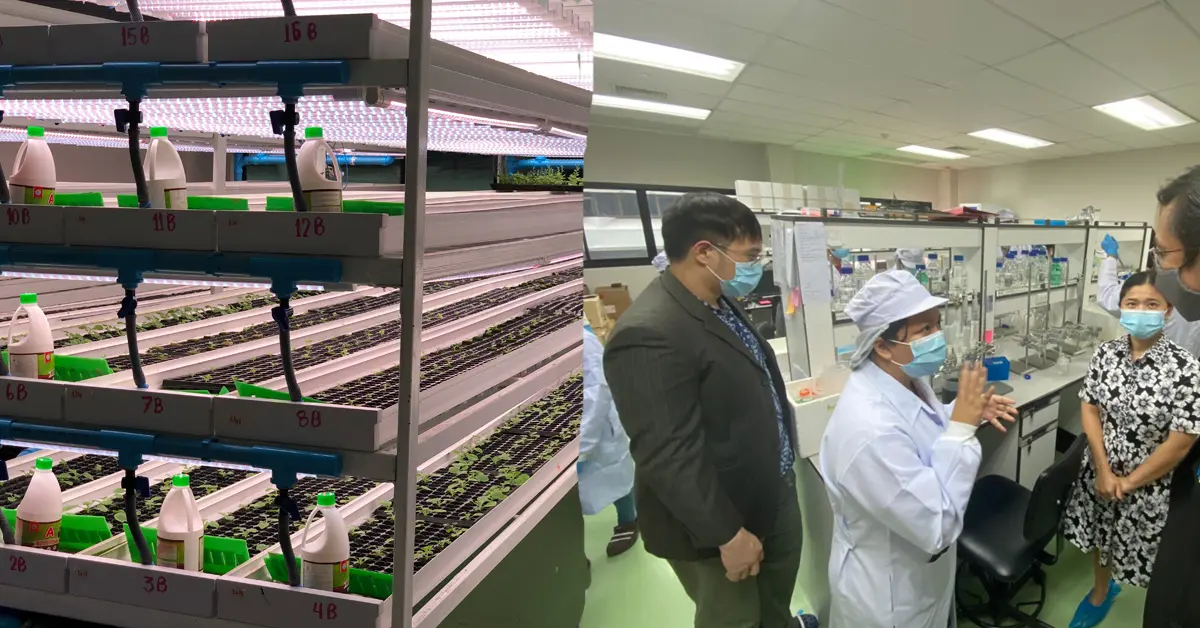 วัคซีนโควิด19