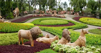 nongnooch-garden-pattaya-free-fee-in-novปก