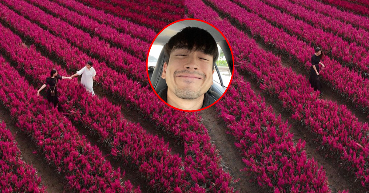 ณเดชน์ ญาญ่า