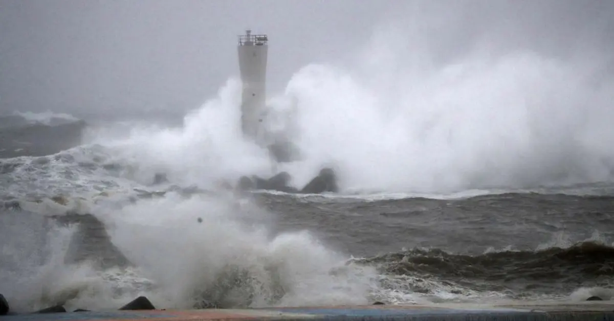 ไต้ฝุ่นจันหอม