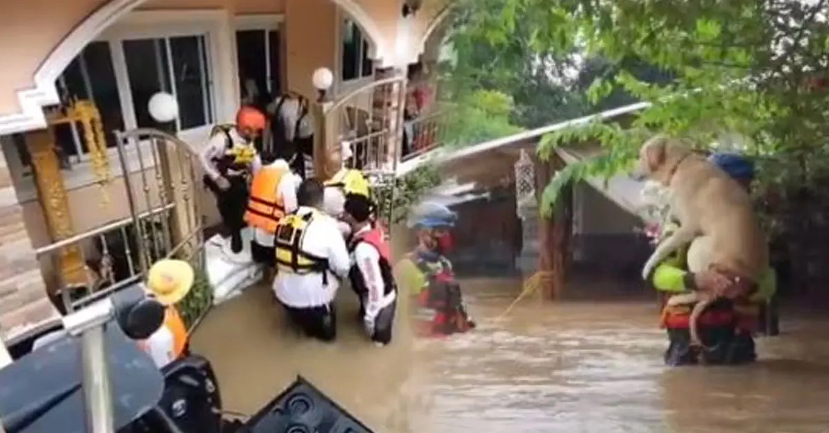 น้ำท่วมปากช่อง น้ำท่วมโคราช