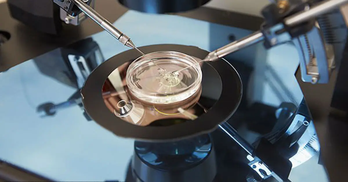 หมอสูติฯ