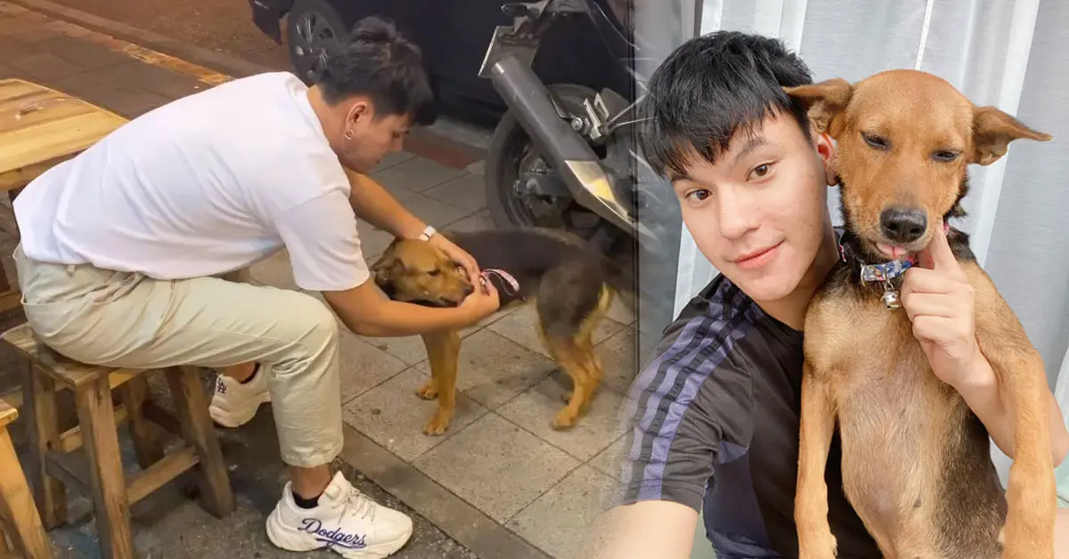 หนุ่มเมาอุ้มหมา ร้านหมูกระทะ