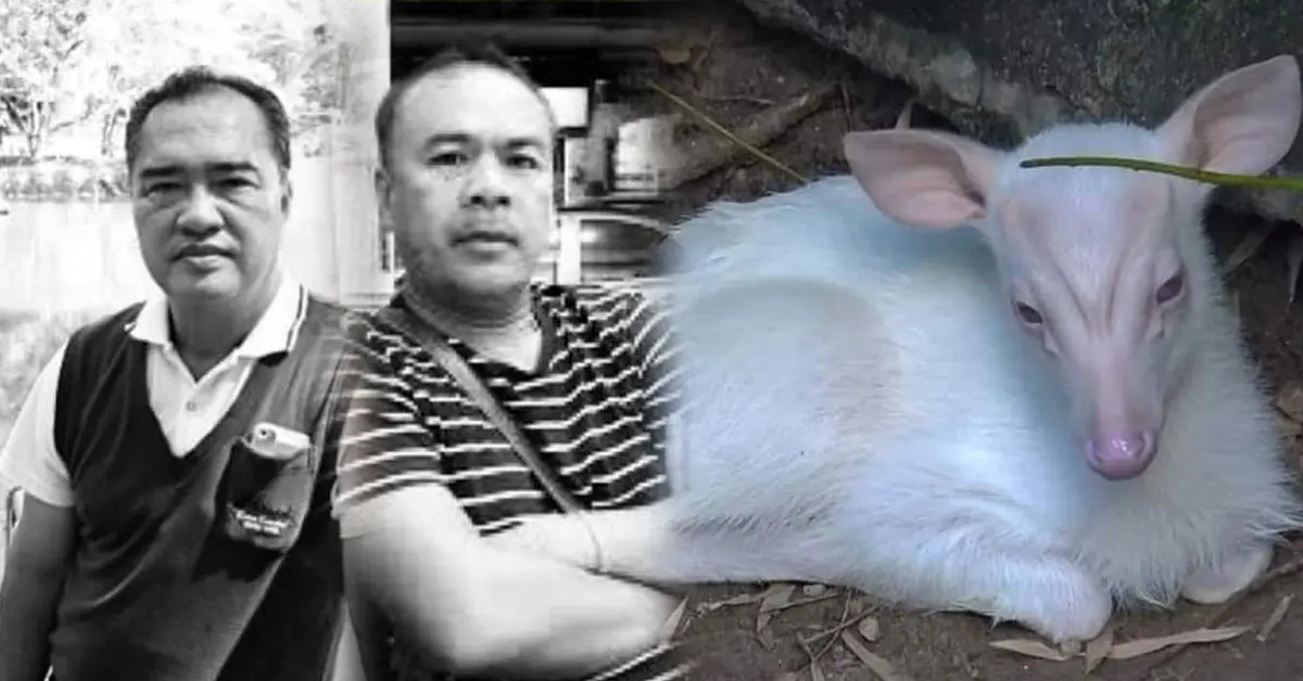 ไทม์ไลน์ สวนสัตว์สงขลา เก้งเผือก