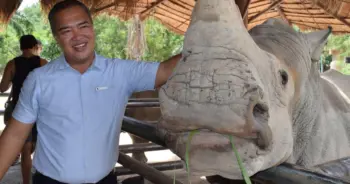 สุริยา แสงพงค์