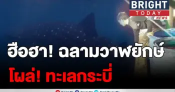 เรือประมงเจอ!!
