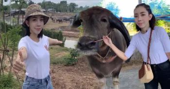 หนึ่งบางปู