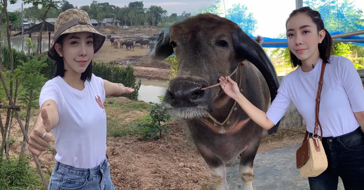 หนึ่งบางปู