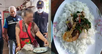 กะเพราปลาหมึกหด