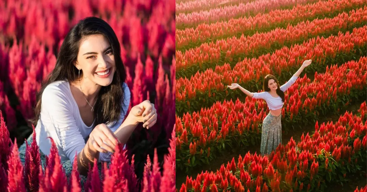 ใหม่ ดาวิกา