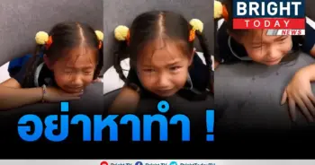 แอน อลิชา