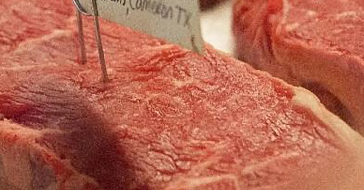 เนื้อเก้งปลอม