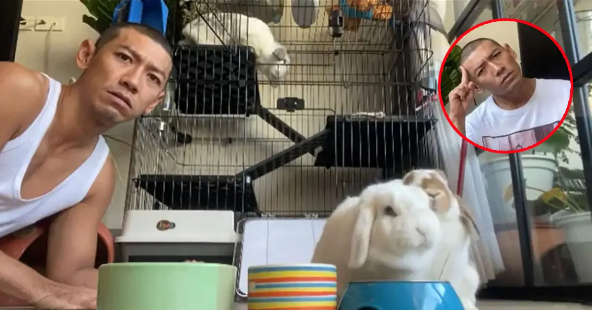 ป๋อมแป๋ม