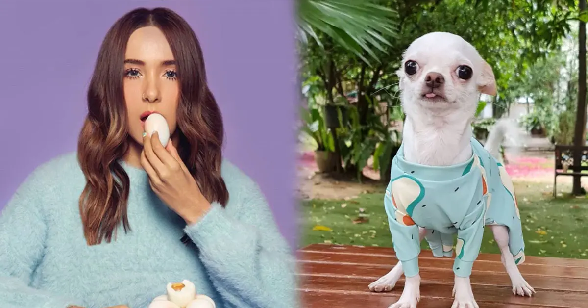 ปาล์มมี่