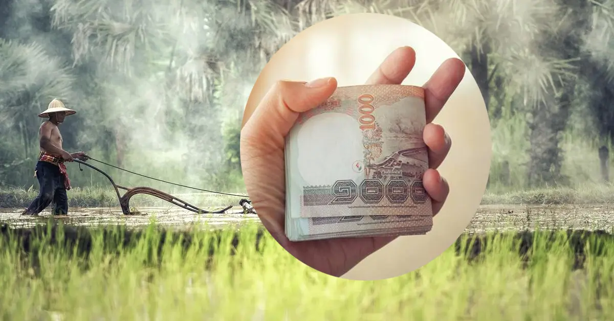 เงินประกันราคาข้าว