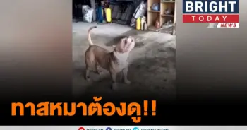 น้องเป็นพยูน