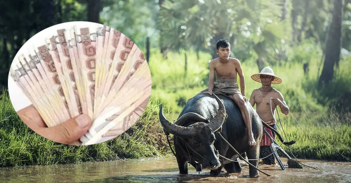 เงินช่วยเหลือชาวนา