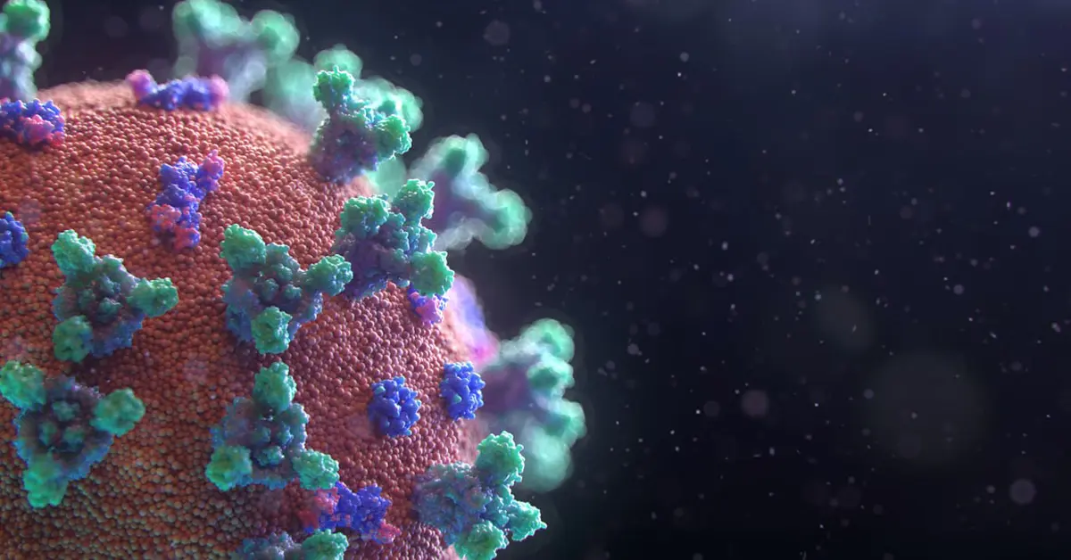 นักการทูตฮังการี