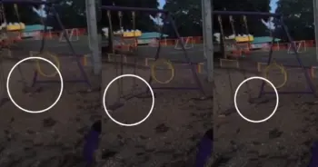 ชิงช้าแกว่งเอง