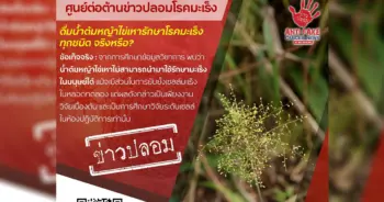 หญ้าไข่เหา